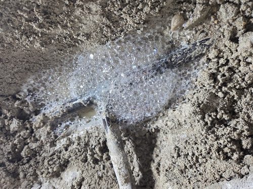 아파트 외벽 빗물 차단 만세구 누수탐지 아파트 외벽 빗물 차단
