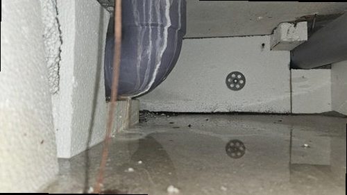 연천 누수탐지 천장 얼룩과 벽지 들뜸이 나타난 누수 피해 현장