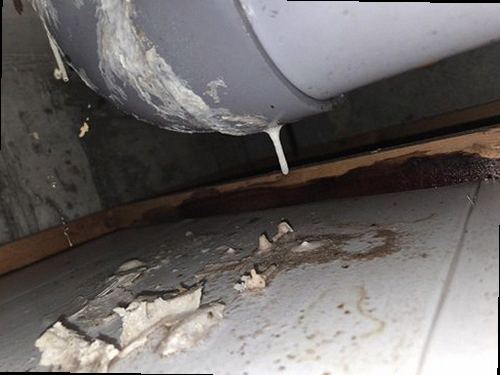 덕양구 누수탐지 싱크대 하부장과 급수 및 배수 연결부를 점검하는 현장