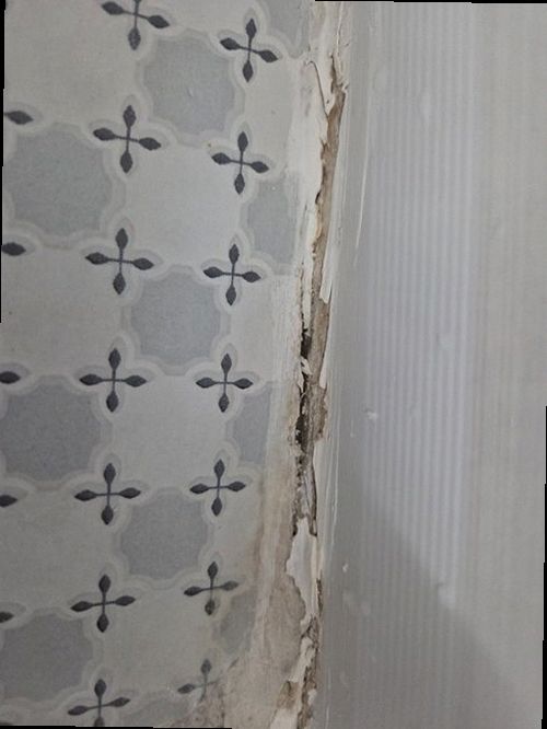 관악구 누수탐지 수도계량기 별침과 누수 점검 절차를 확인하는 모습
