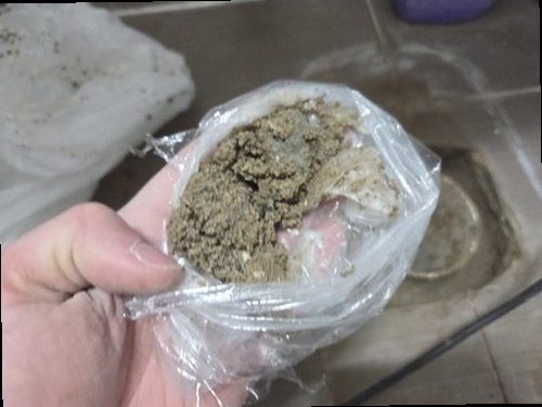 유성구 누수탐지 벽지 들뜸과 천장 얼룩을 확인하는 누수 점검 현장