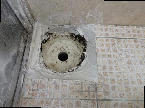 청주시 서원구 누수탐지 욕실 천장 누수 흔적과 수분 상태를 확인하는 현장
