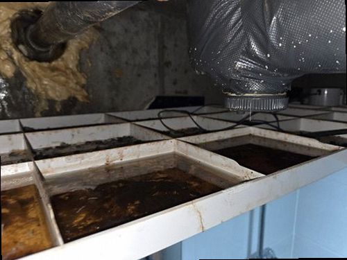 대전 서구 누수탐지 갈마2동 누수탐지 빌라베란다누수방지 젖은 벽이 마른 뒤 달라진 현장