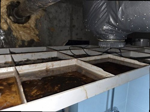 일산동구 누수탐지 천장 얼룩과 배관 검사 위치를 확인하는 현장 모습