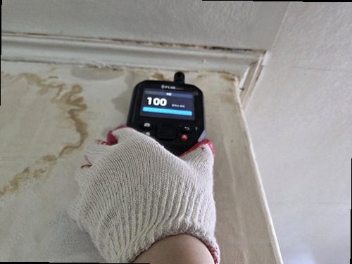 장안구 누수탐지 안방 천장 누수 흔적과 벽면 수분 반응을 확인하는 현장