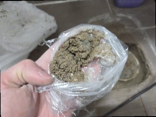 미추홀구 누수탐지 천장과 벽면의 누수 흔적을 확인하는 현장